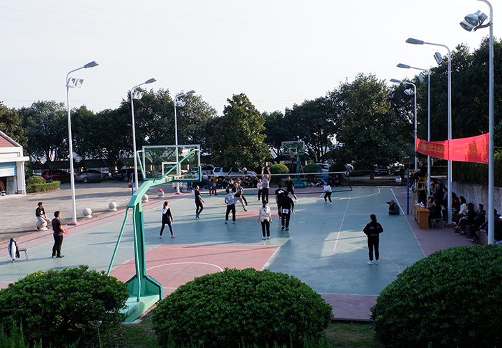 團結協(xié)作 同心拼搏——公司舉辦第十二屆混合排球比賽