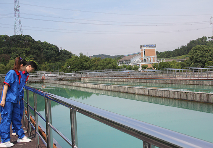 "三敢三比“——-”制水分公司：生命之源的凈化者