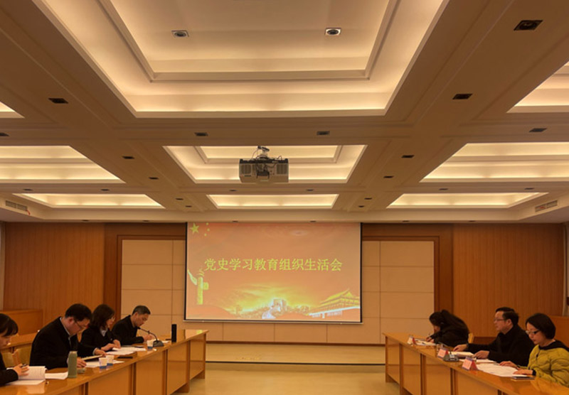 紅臉出汗聚合力！公司召開黨史學(xué)習(xí)教育專題組織生活會
