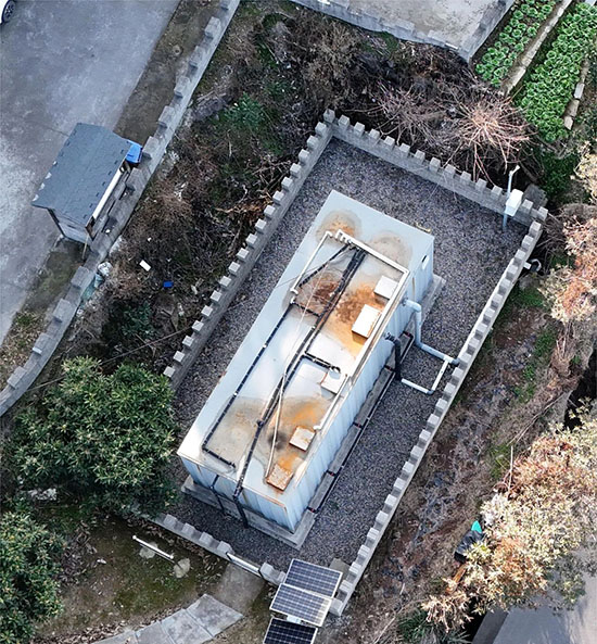 成功中標(biāo)！